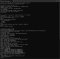 Thumbnail for version as of 09:34, 26 June 2024
