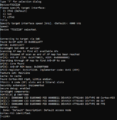 Thumbnail for version as of 17:08, 11 November 2024