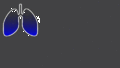 Thumbnail for version as of 09:45, 13 July 2020
