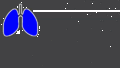 Thumbnail for version as of 10:31, 13 July 2020