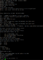 Thumbnail for version as of 08:29, 5 April 2024
