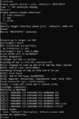 Thumbnail for version as of 17:10, 4 June 2024